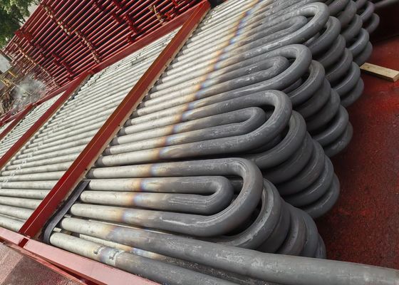 ASTM A249 Ατσάλι άνθρακα Σερπεντίνιο σπείρωμα / σωλήνα φιδιού σε επαναθέρμανση λέβητα