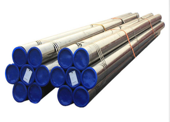 SA213 P9 50.8X3.6MM άνευ ραφής σωλήνας χάλυβα κραμάτων για Superheater
