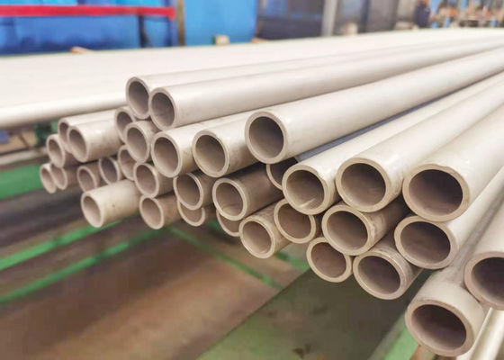 δευτεροβάθμιο Superheater 6mm SS 304 χωρίς συγκόλληση σωλήνας για τον αποτεφρωτήρα MSWI αποβλήτων