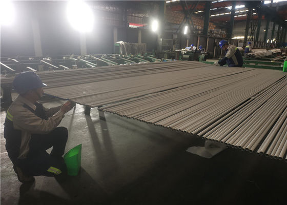 OD 6mm ASTM 269 άνευ ραφής ανοξείδωτος σωλήνας TP317