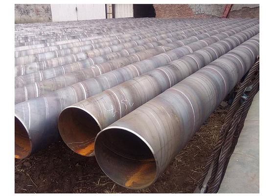 SA214 213X29X6000mm ανοπτημένος Superheater χωρίς συγκόλληση σωλήνας χάλυβα κραμάτων